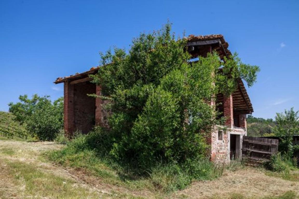 Rustico - Cascina CASALFIUMANESE vendita   via Pieve sant