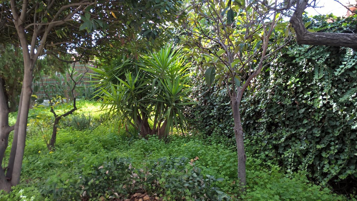 Villa AGRIGENTO vendita   via delle calendule CANTAVENERA ROSARIO