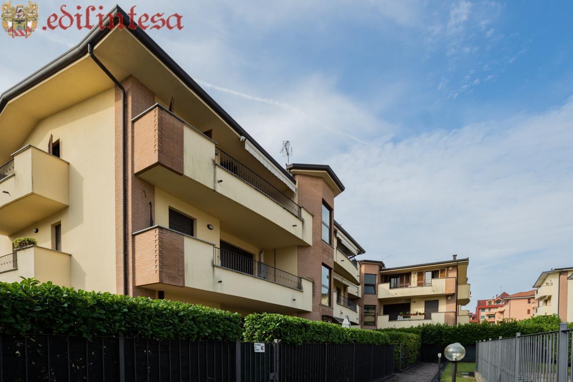 Appartamento LISSONE vendita   via giotto Edilintesa Servizi Immobiliari Srl