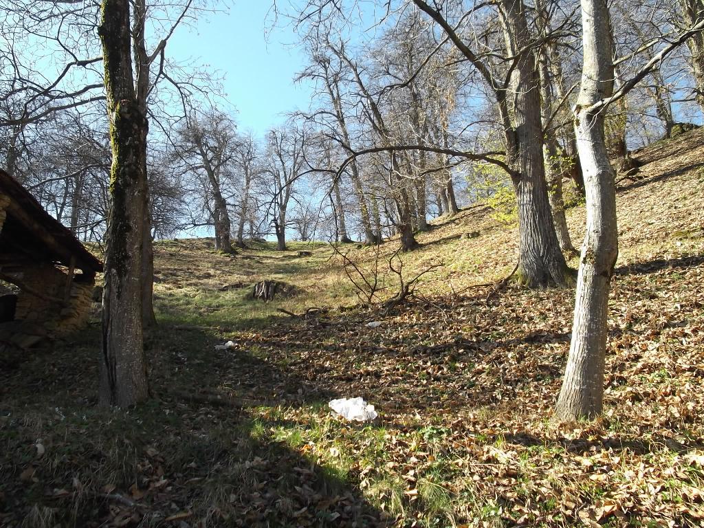 Rustico - Cascina MONTALDO DI MONDOVÌ vendita    Emmepi Case