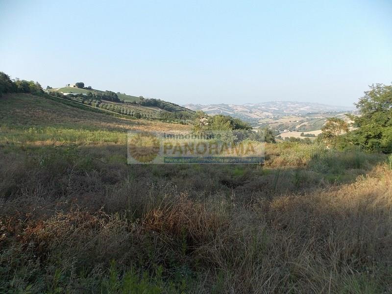  castignano vendita quart:  agenzia-immobiliare-panorama