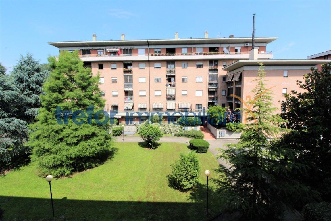 Appartamento SAN DONATO MILANESE affitto   Via Dossetti TREFOR IMMOBILIARE S.R.L.