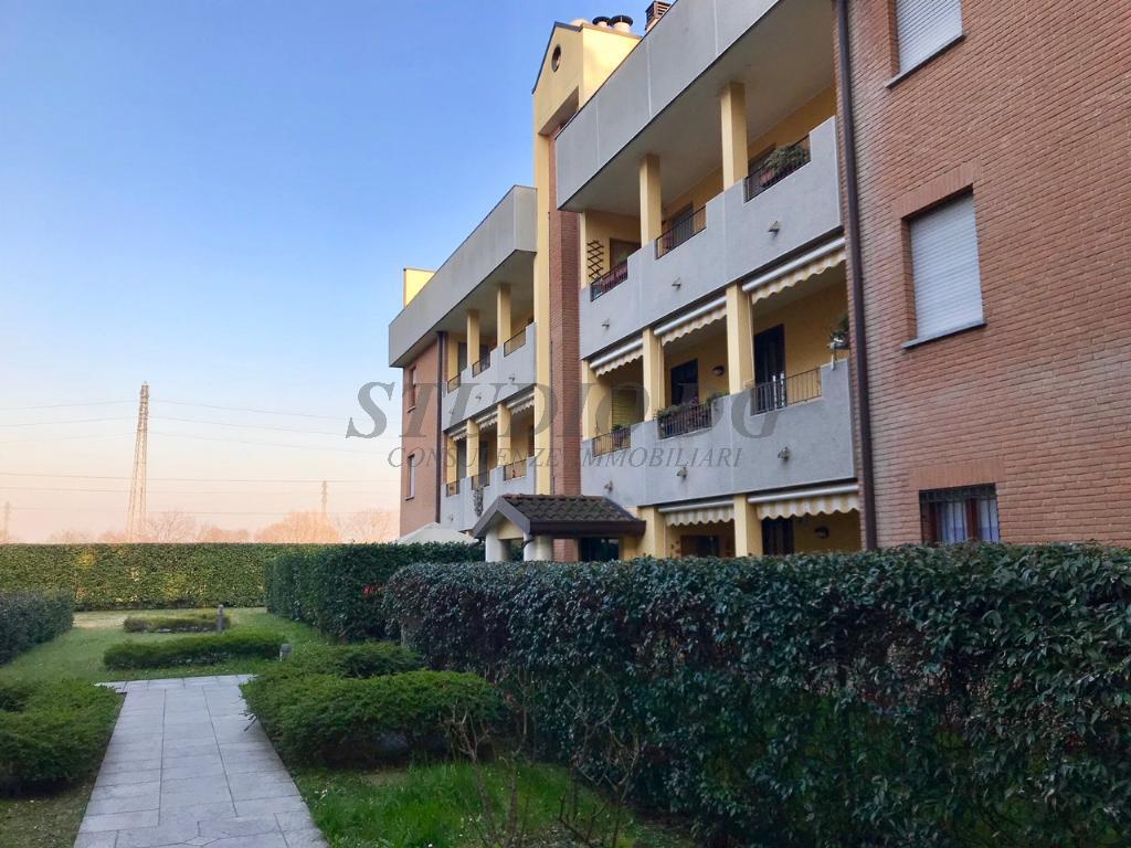 Appartamento CESANO MADERNO vendita   Via Settembrini Studio DG Immobiliare